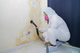 Best Real Estate Mold Inspection  in New Hartford Center, CT